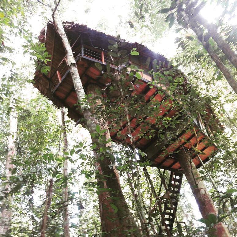 Reserva Natural Tanimboca Leticia Exterior photo